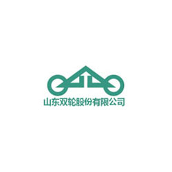 山东双轮泵业